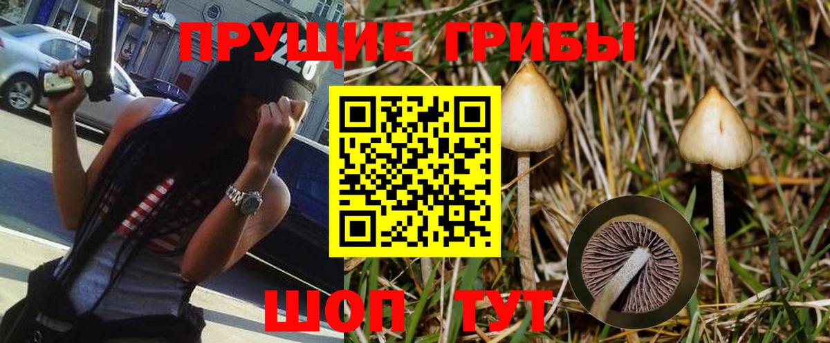 Псилоцибиновые грибы MAGIC MUSHROOMS Сергиев Посад